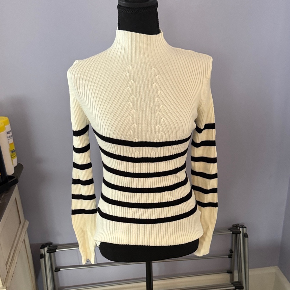 Timing Cream and Black Striped Turtleneck Sweater
